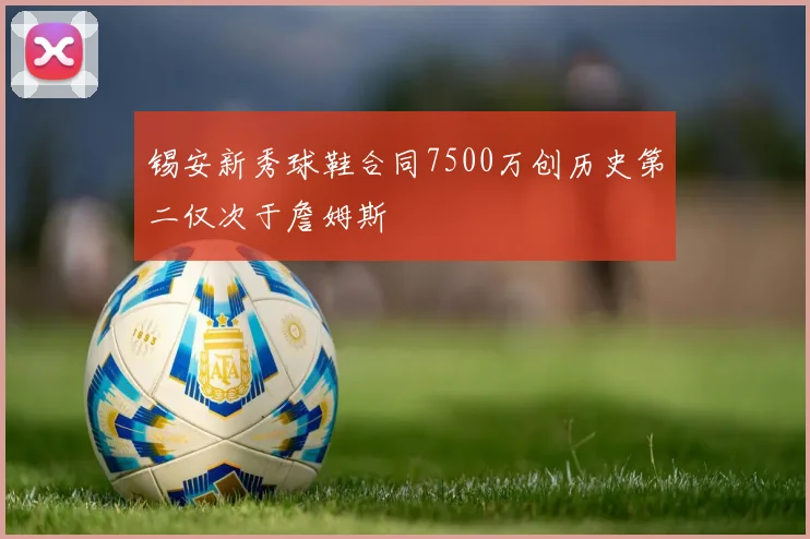 锡安新秀球鞋合同7500万创历史第二仅次于詹姆斯