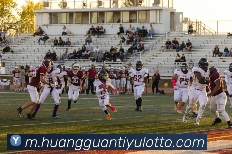 皇冠体育平台生态图